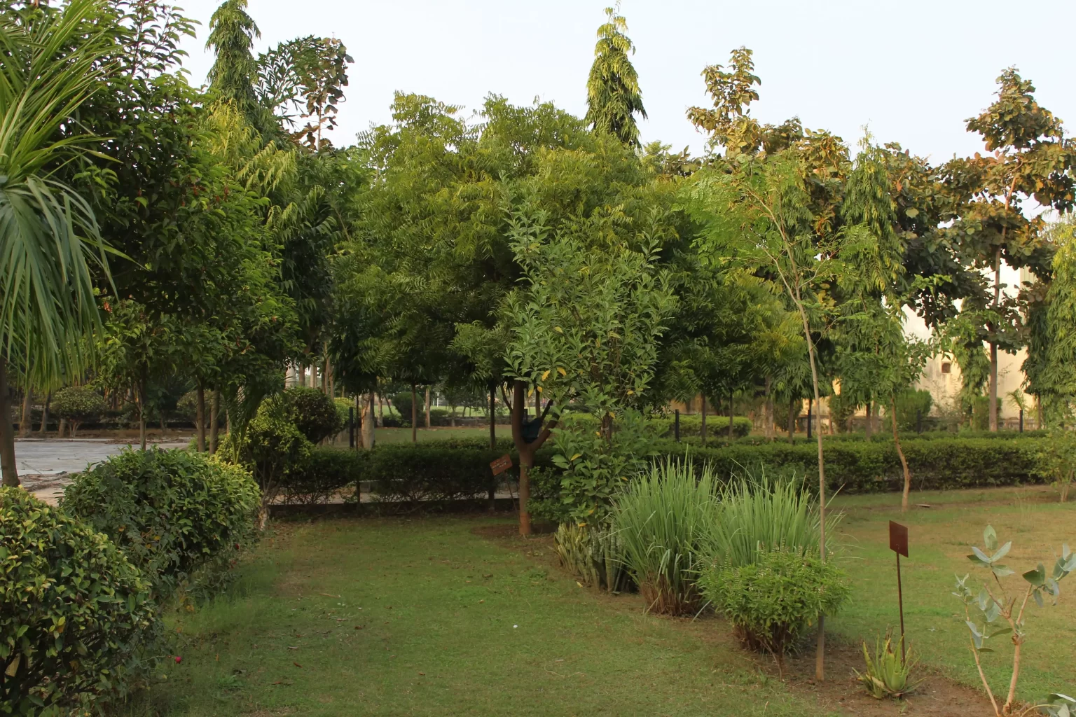 College Library